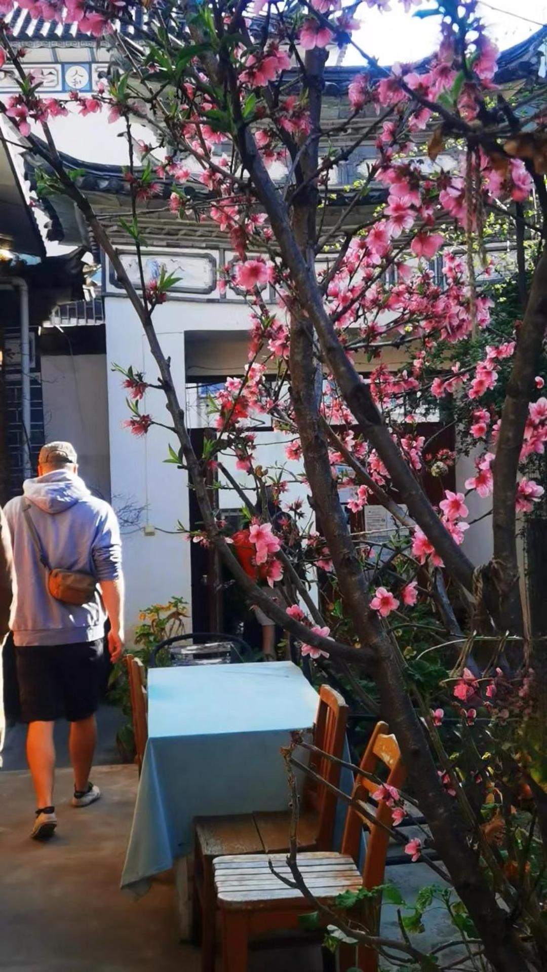 大荔 大理百合国际青年旅舍酒店 外观 照片