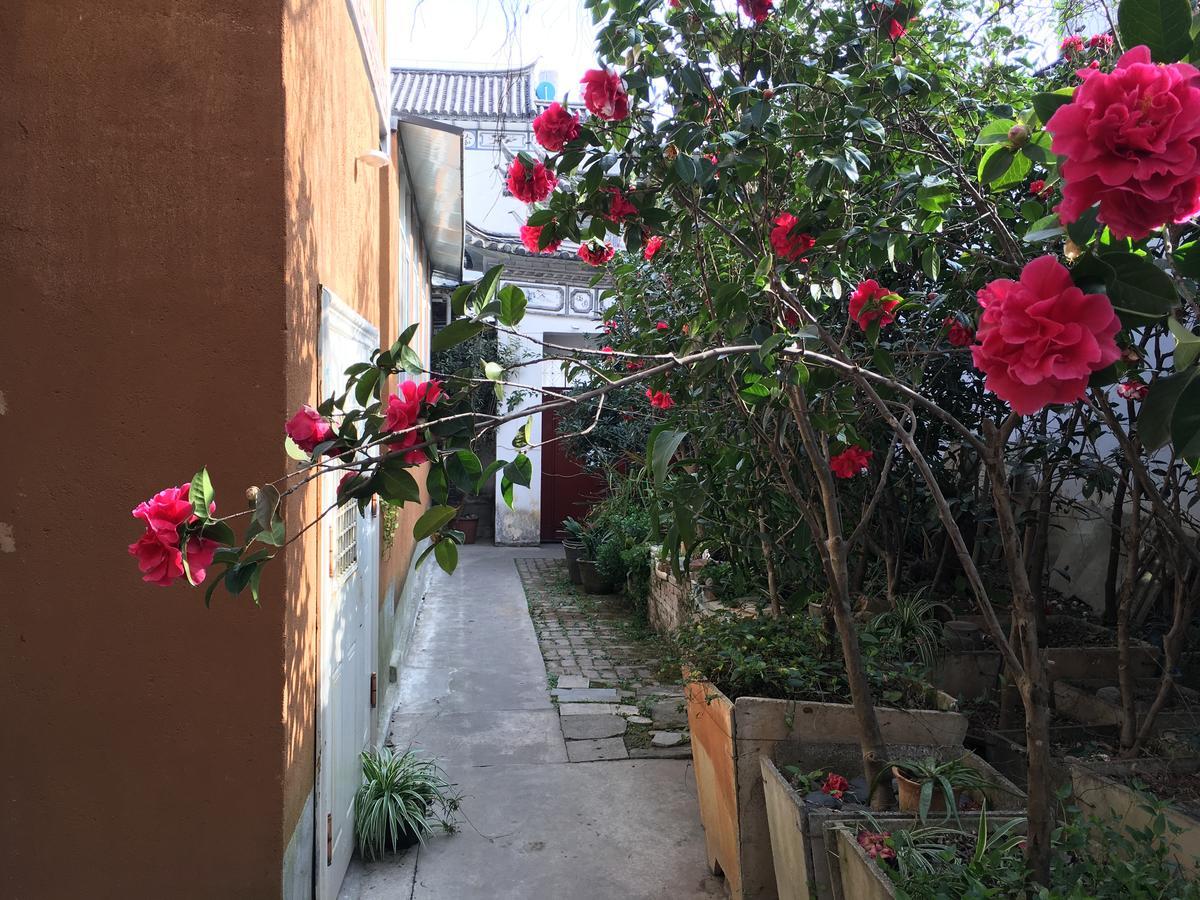 大荔 大理百合国际青年旅舍酒店 外观 照片
