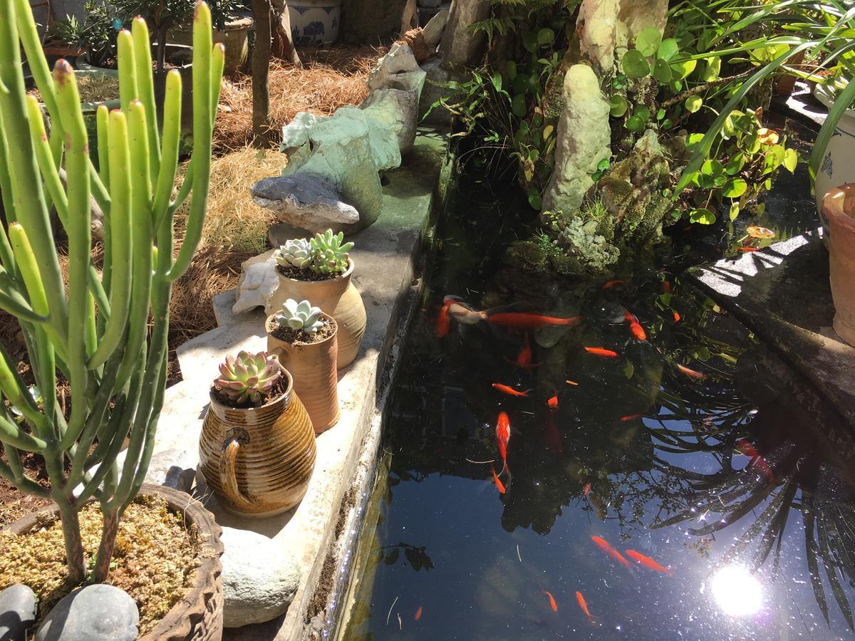大荔 大理百合国际青年旅舍酒店 外观 照片